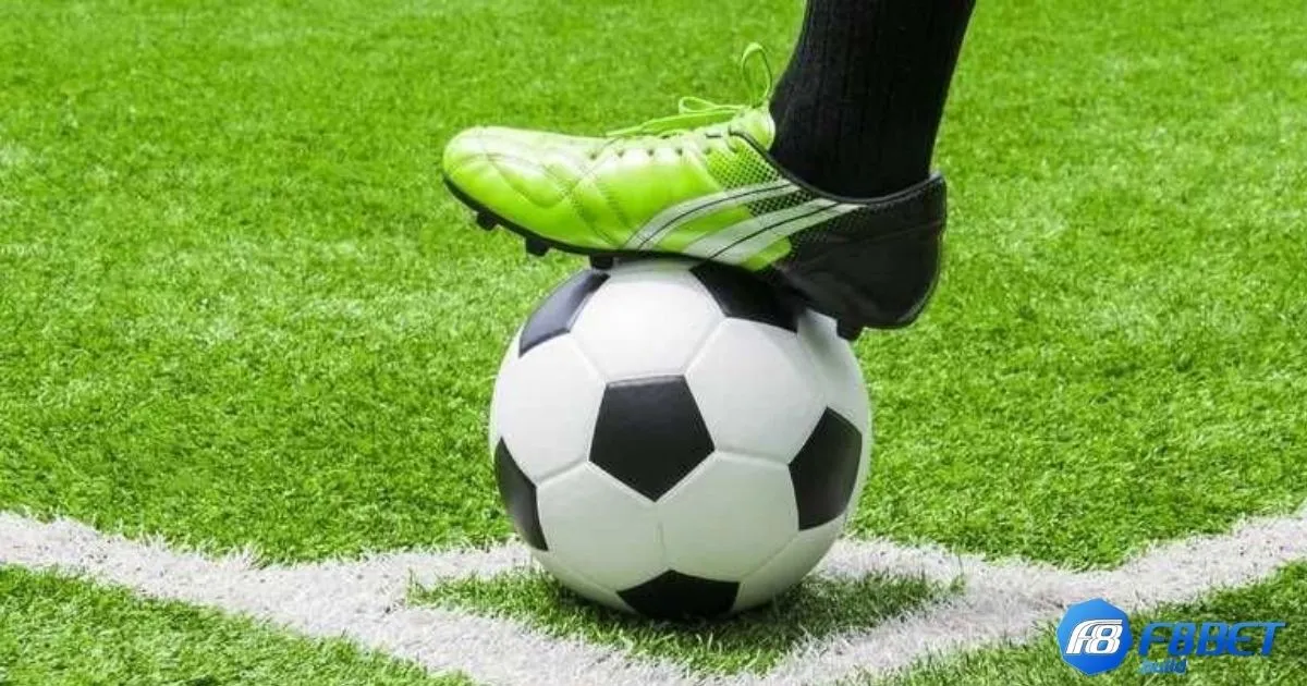 Cách tính tiền thưởng khi đặt cược kèo chấp 1/2 trên F8Bet