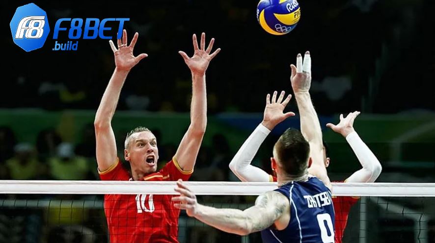 Người chơi cần tham khảo thông tin để quyết định một cửa cược