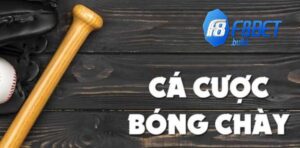 Bóng chày là một bộ môn thể thao được ưa chuộng