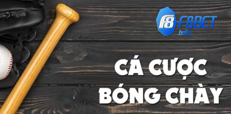 Bóng chày là một bộ môn thể thao được ưa chuộng