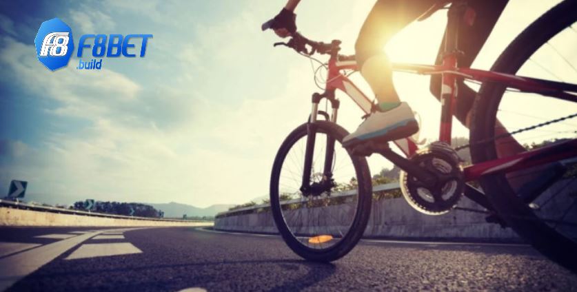 Một số kiểu cược Đạp Xe cho người mới